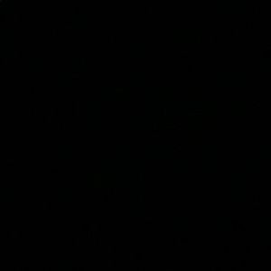 Meet your Posher, Teesha